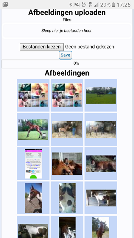 Afbeelding