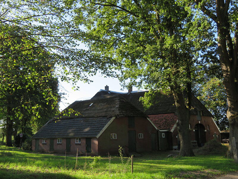 Afbeelding