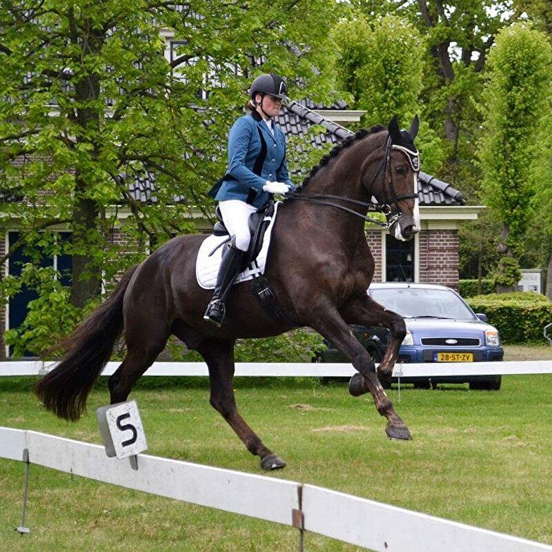 Afbeelding