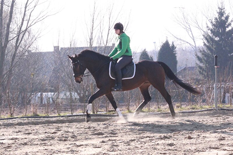 Afbeelding