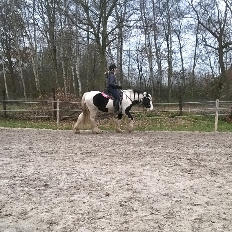 Afbeelding