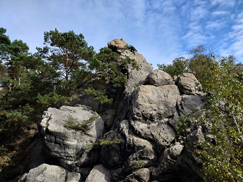 Afbeelding