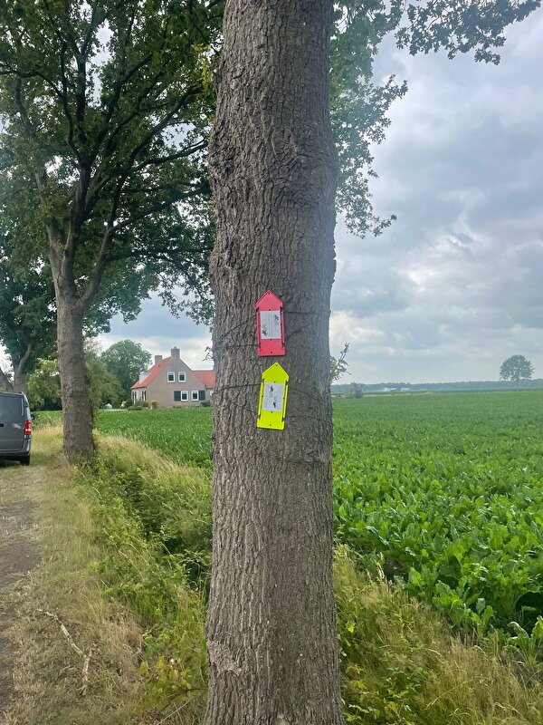Afbeelding