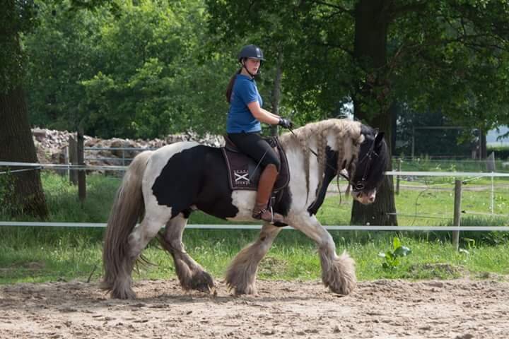 Afbeelding