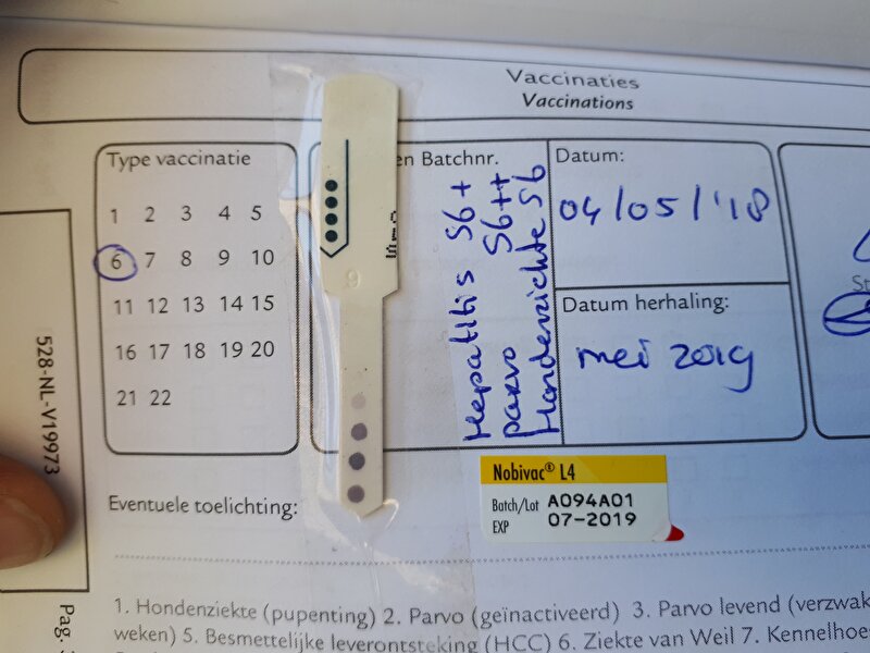 Afbeelding