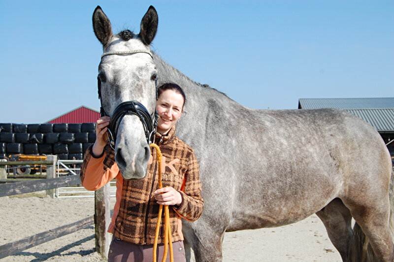 modder veiligheid niezen Dressuurzadel voor groot paard met hoge schoft en rechte rug • Bokt.nl