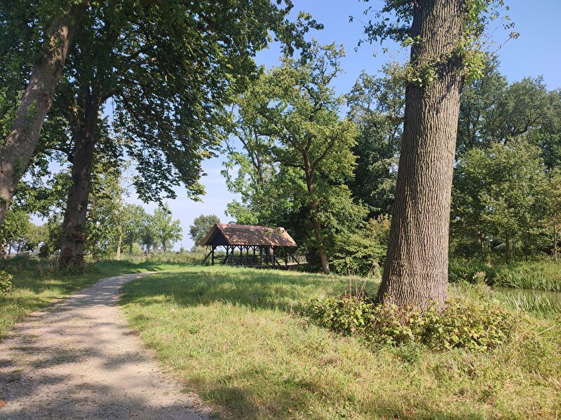 Afbeelding