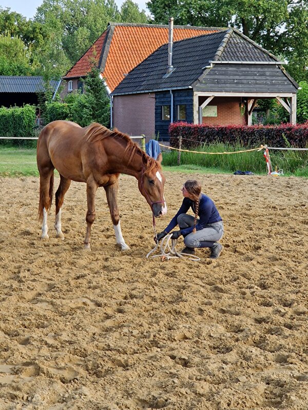 Afbeelding