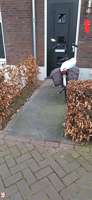 Afbeelding