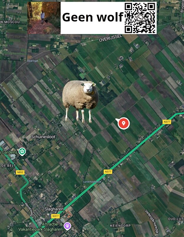 Afbeelding