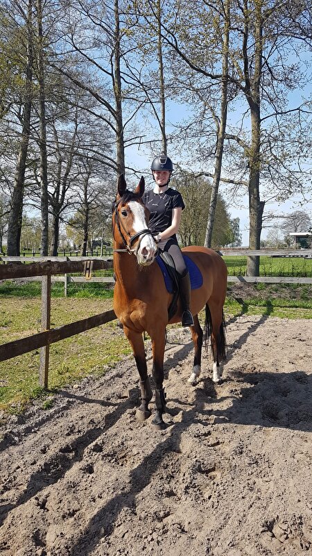 Afbeelding