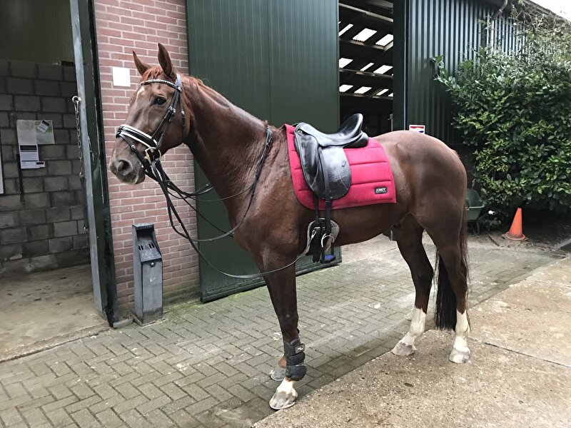 Afbeelding