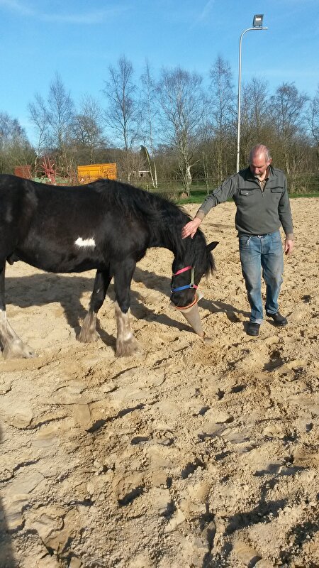 Afbeelding
