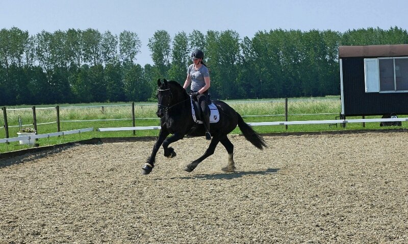 Afbeelding