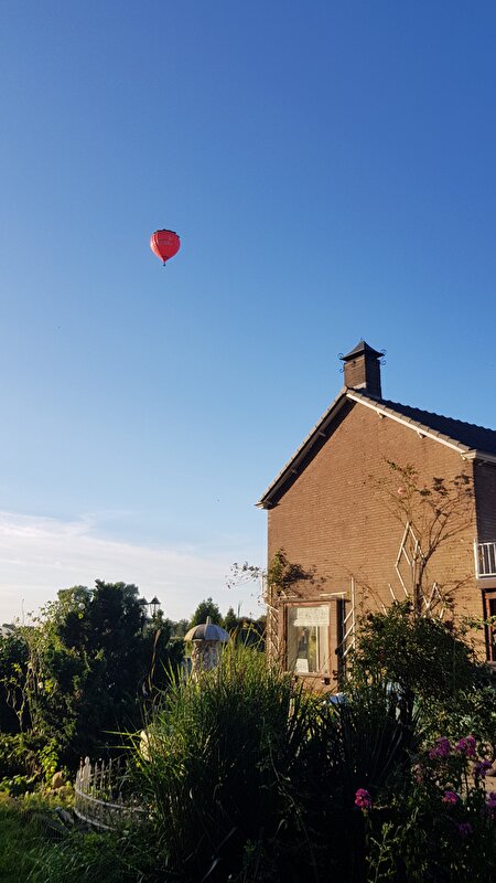 Afbeelding