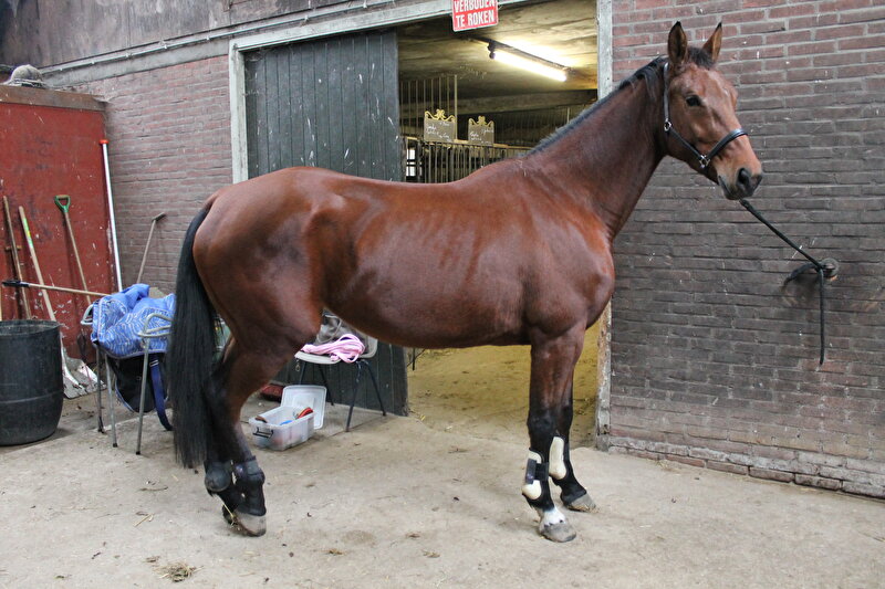 Afbeelding