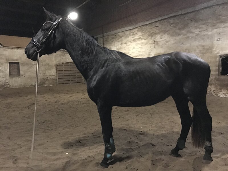 Afbeelding