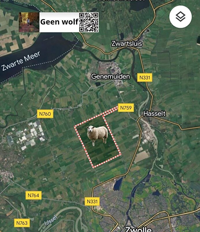 Afbeelding