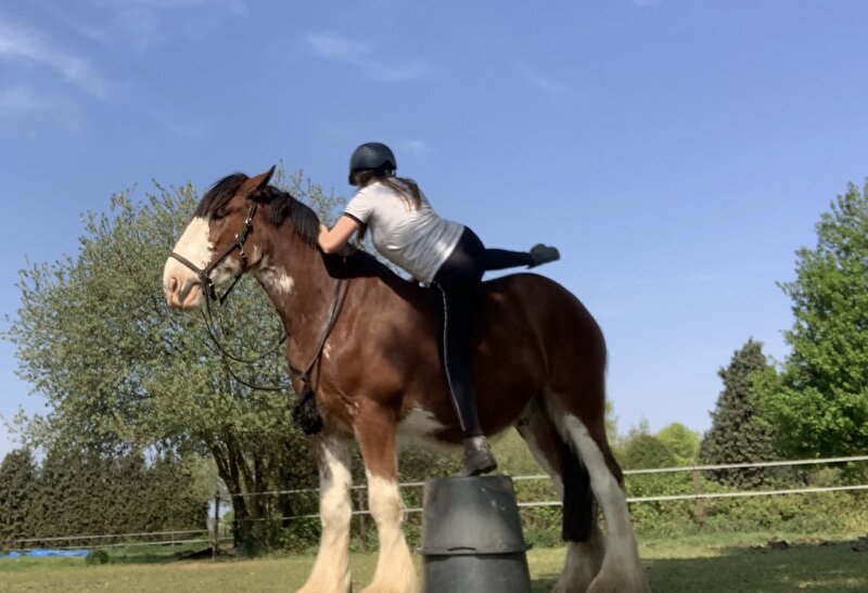 Afbeelding