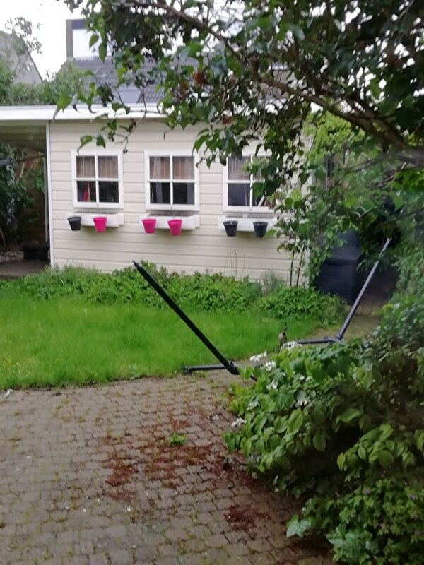 Afbeelding