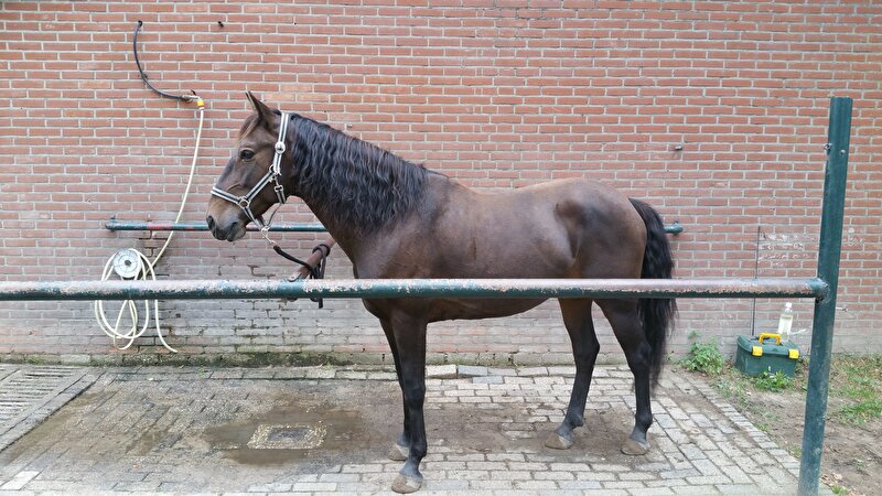 Afbeelding