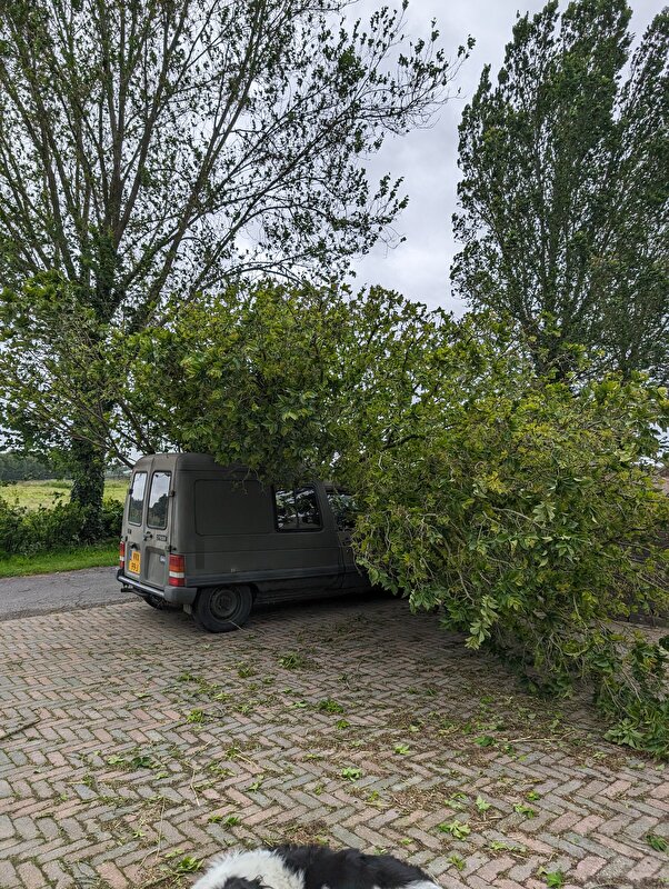Afbeelding