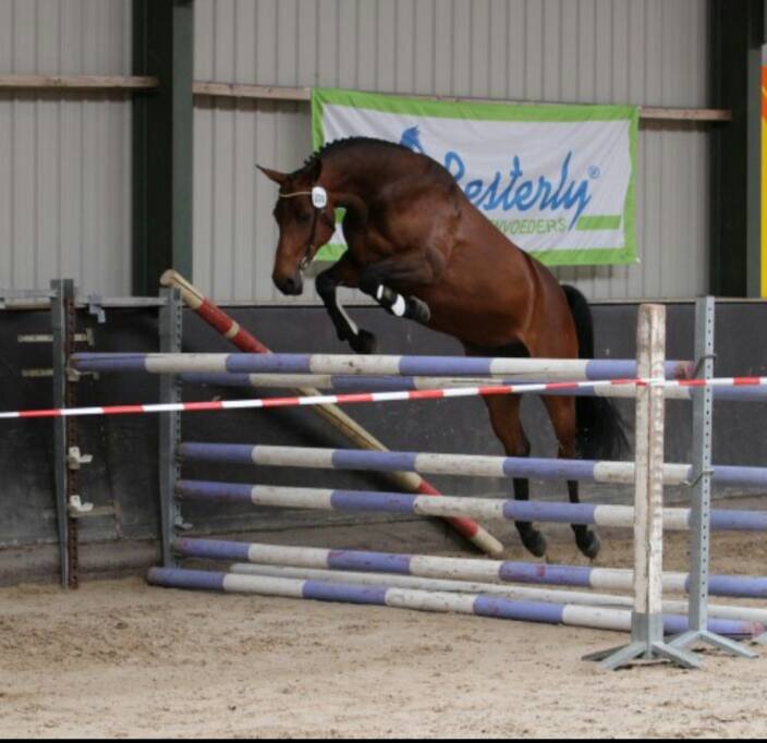 Afbeelding