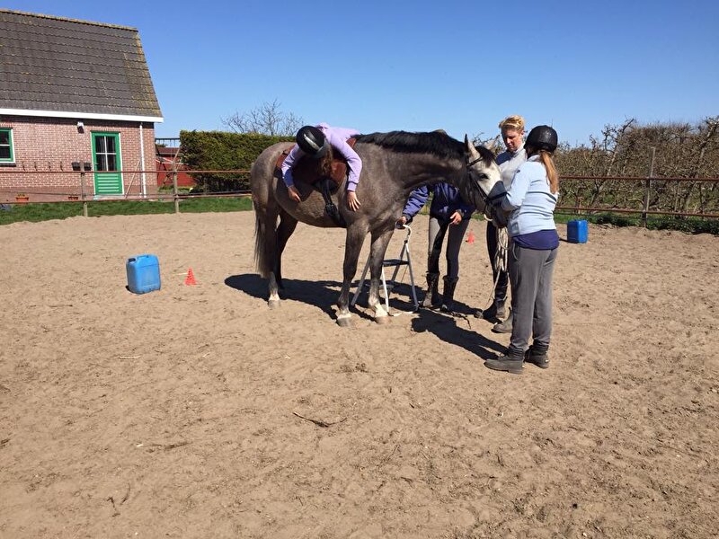 Afbeelding