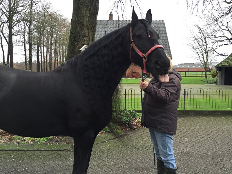 Afbeelding