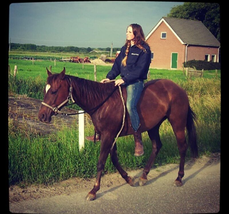 Afbeelding