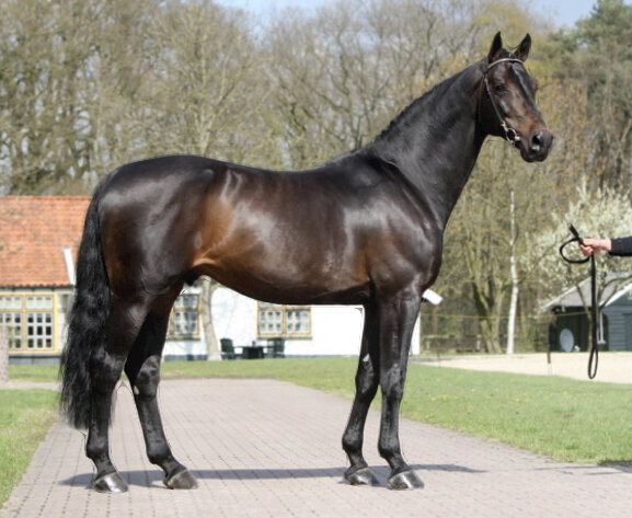 Afbeelding