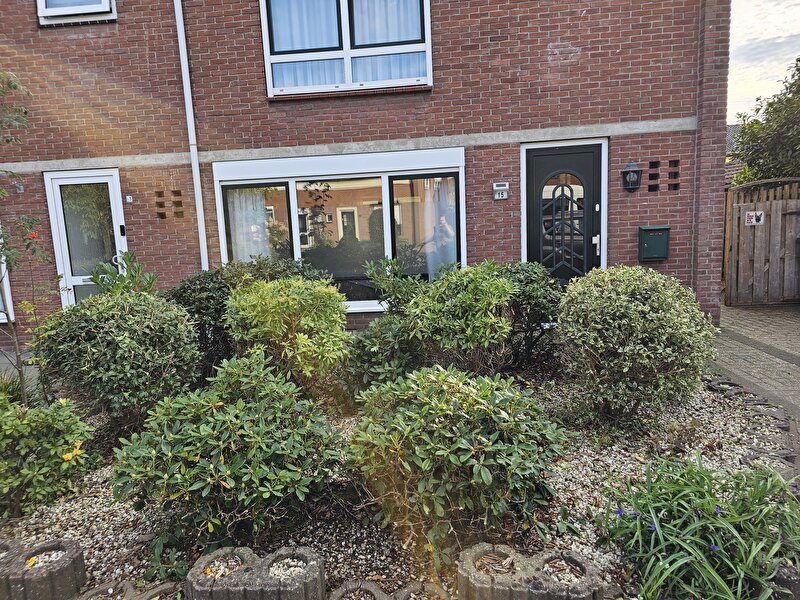 Afbeelding