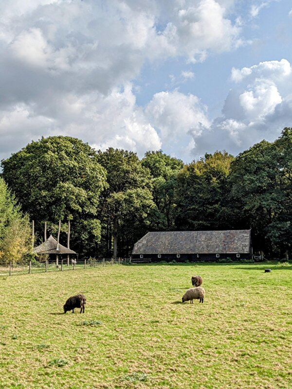 Afbeelding