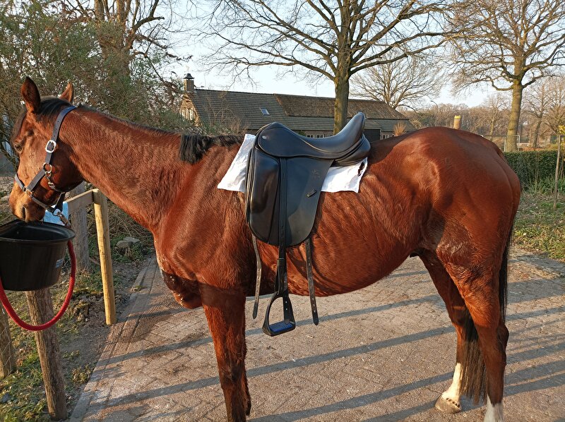 Afbeelding