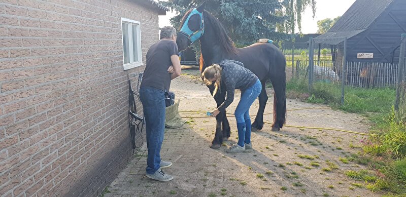 Afbeelding