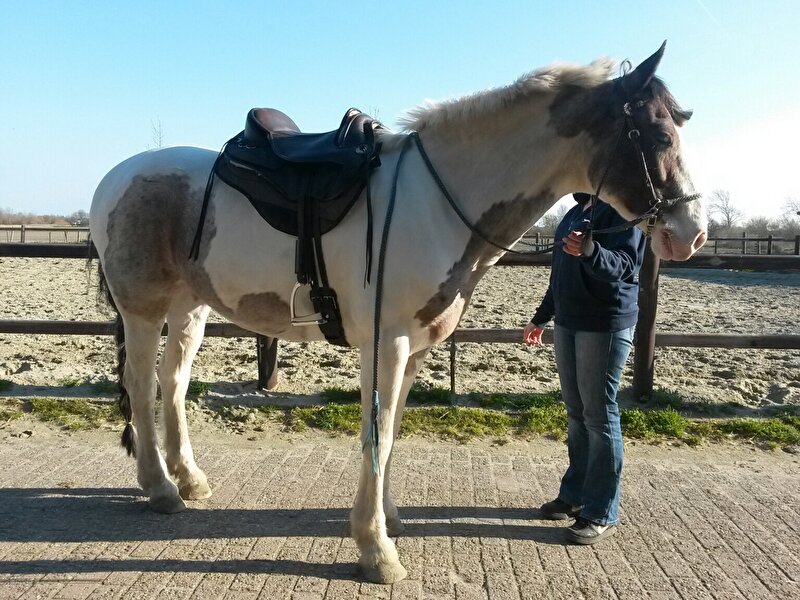 Afbeelding