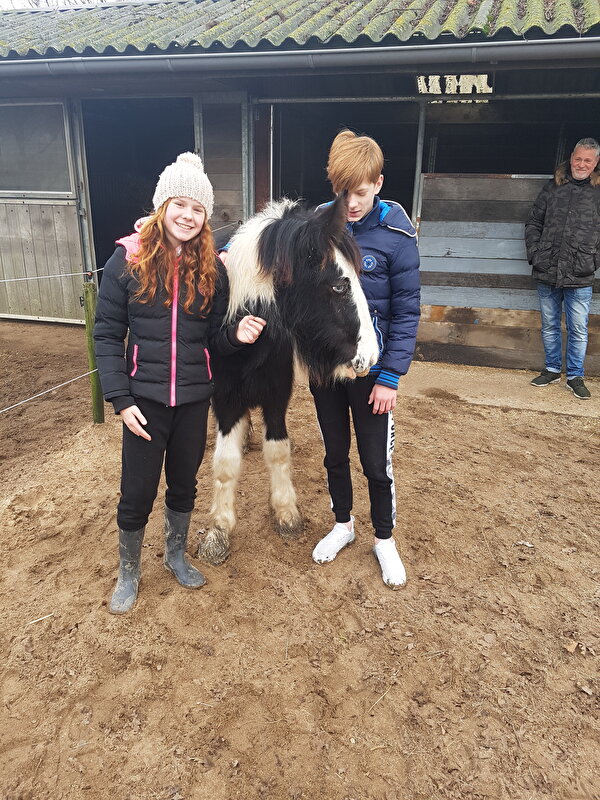 Afbeelding