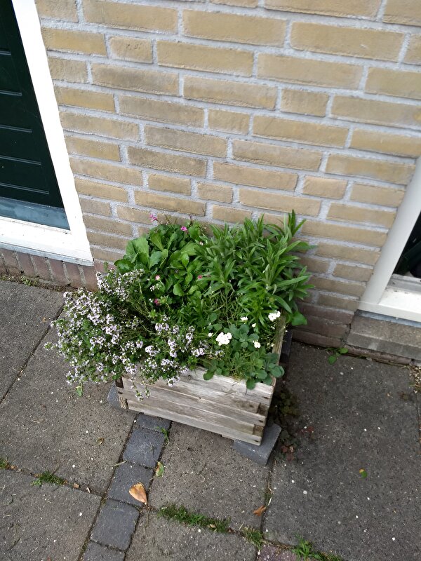 Afbeelding