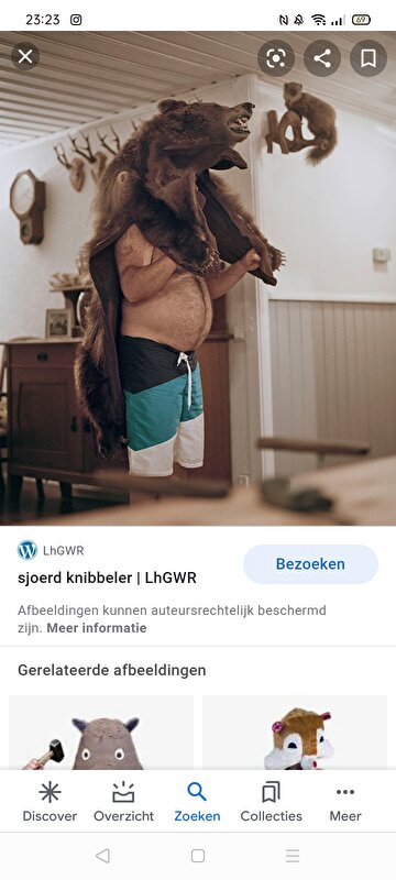 Afbeelding
