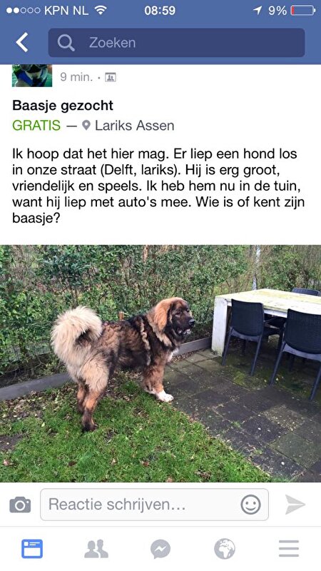 Afbeelding