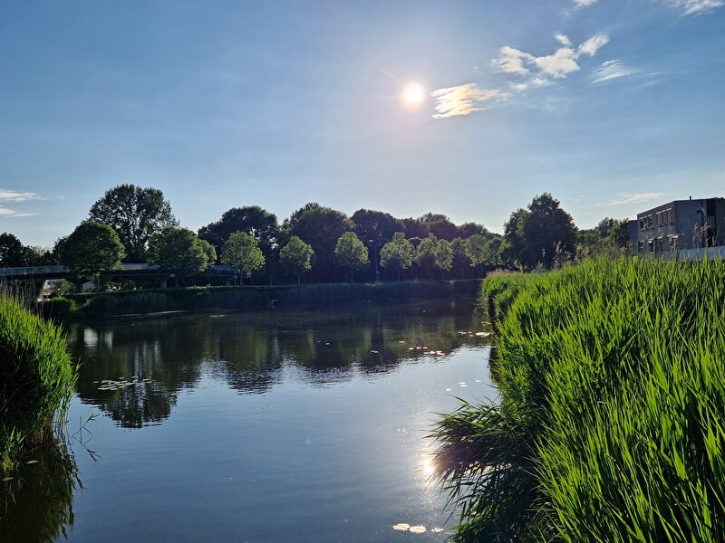 Afbeelding