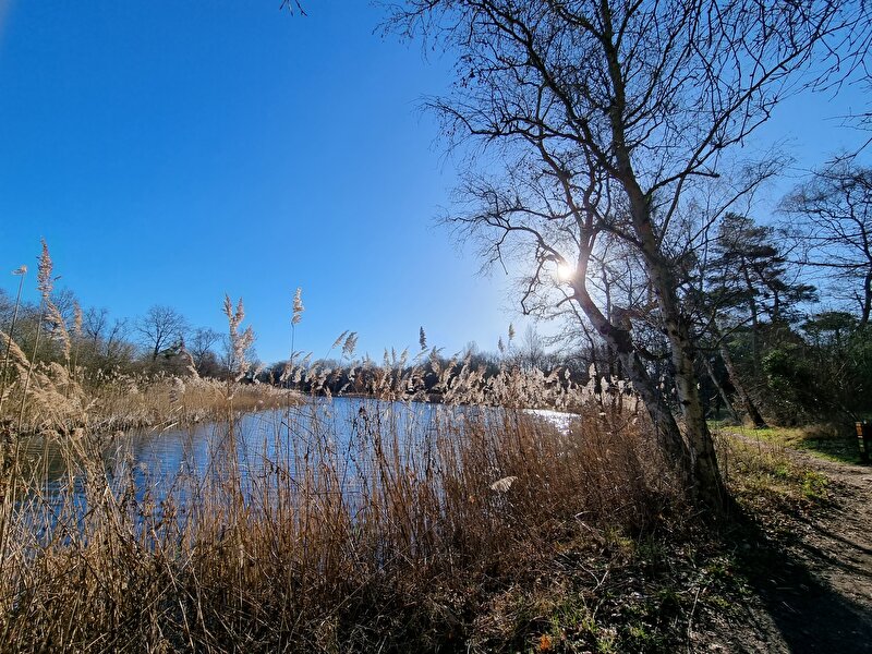 Afbeelding