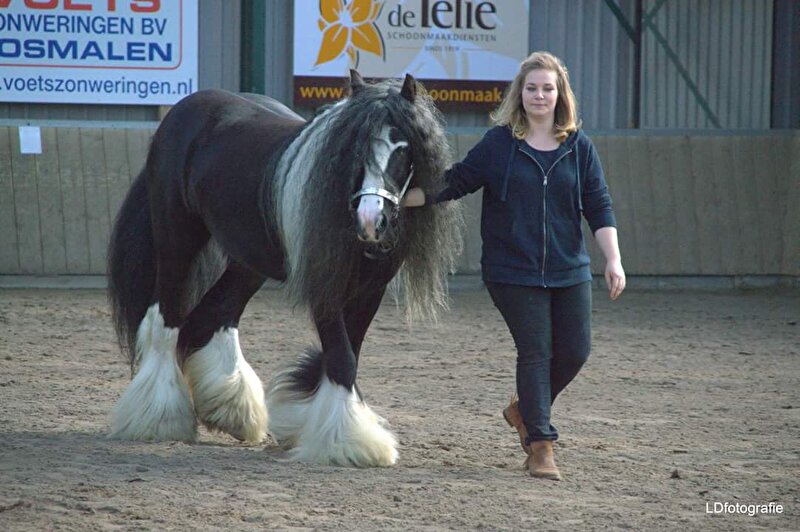 Afbeelding
