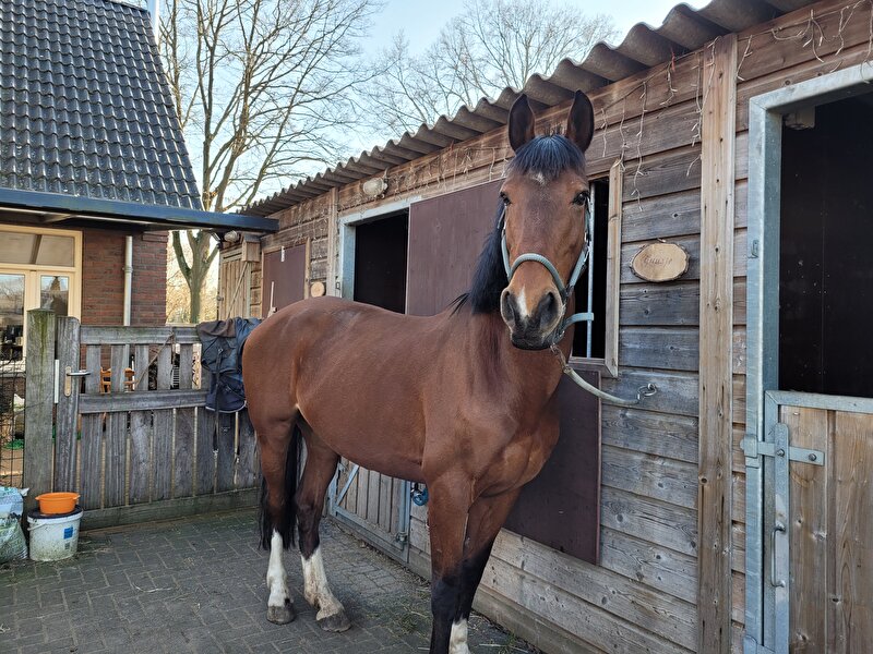 Afbeelding