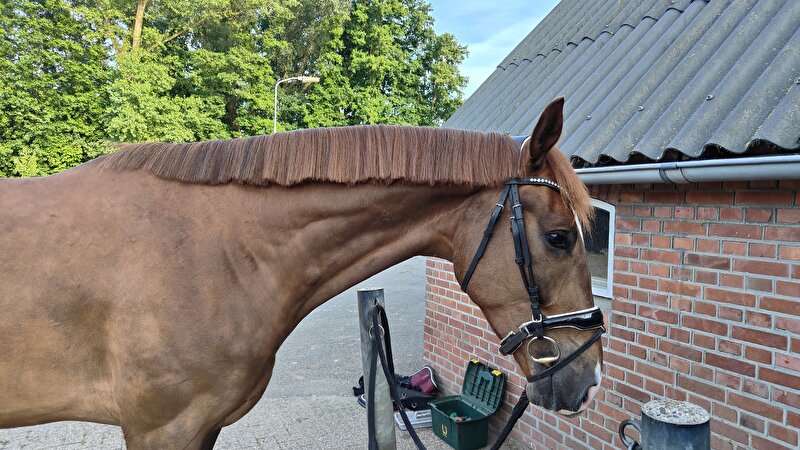 Afbeelding