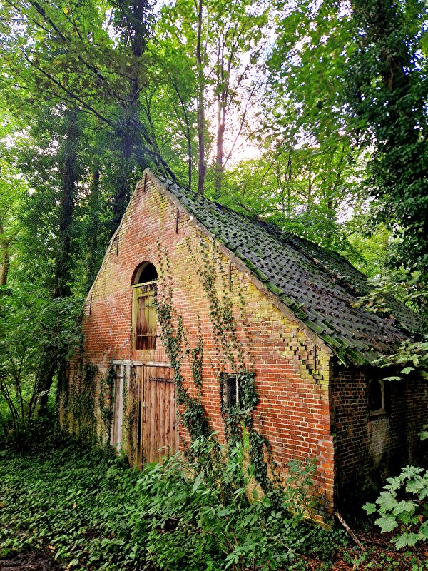 Afbeelding