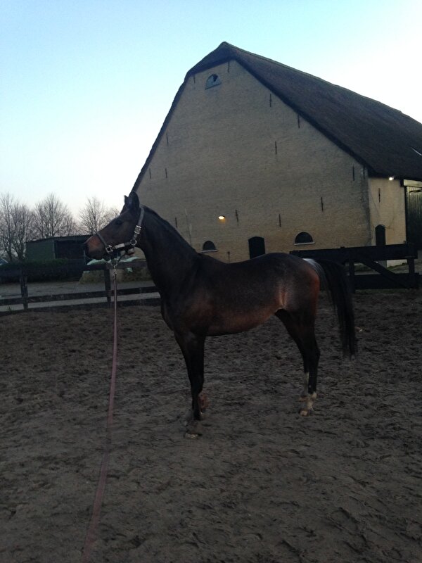 Afbeelding