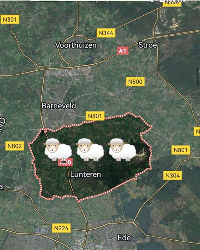 Afbeelding