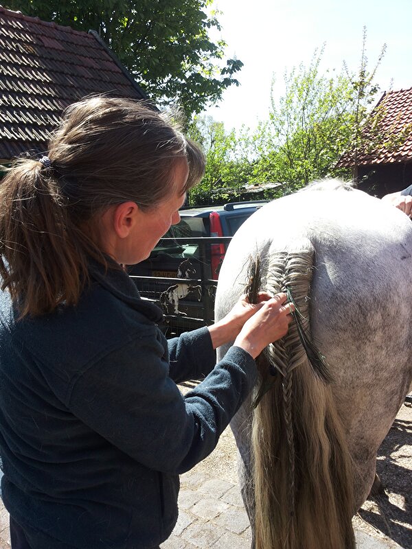 Afbeelding