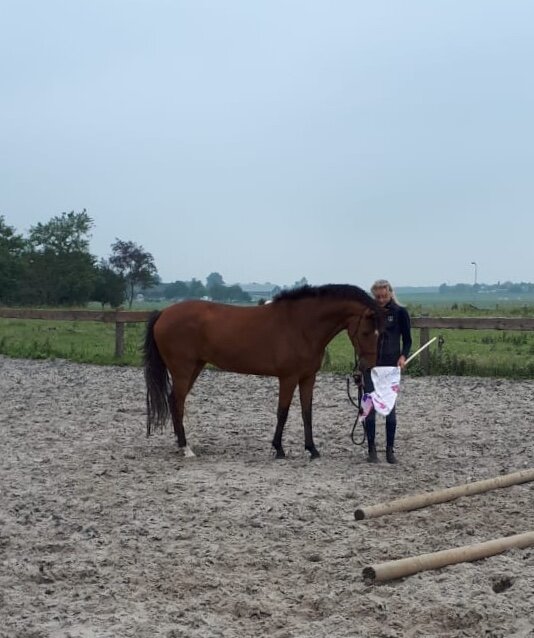 Afbeelding